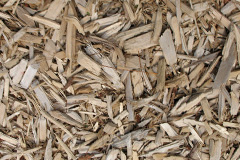biomass boilers Stow Bedon